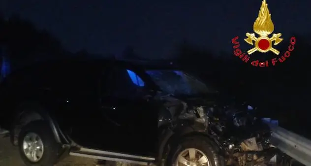 Animali vaganti: investe tre mucche e finisce in ospedale