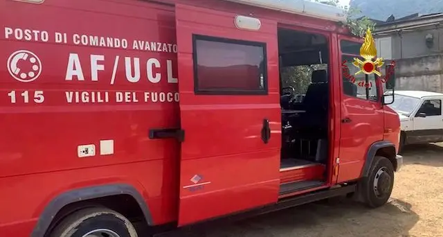 Nuovo infortunio sul lavoro, operaio 33enne muore schiacciato da albero nel bresciano
