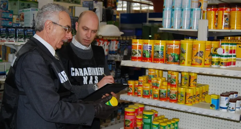 Feci di roditori in market di prodotti etnici, blitz del Nas