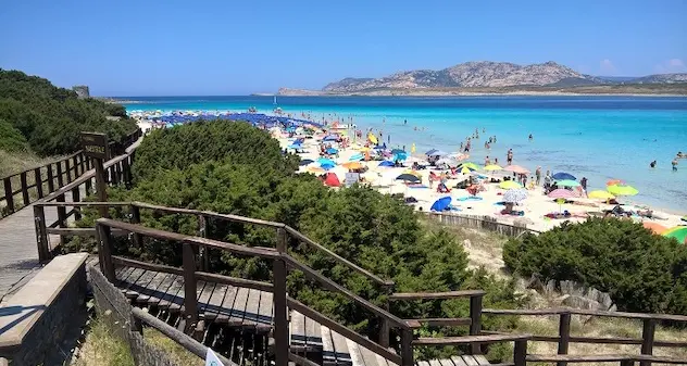 Pelosa, in arrivo tariffa di ingresso e numero chiuso