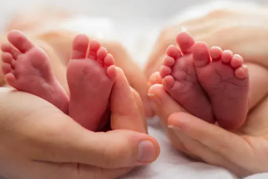 Portrait showing parents\\' hands and babies\\' feet.