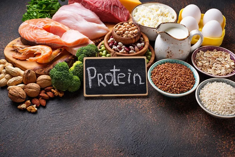 Healthy food high in protein. Meat, fish, dairy products, nuts and beans