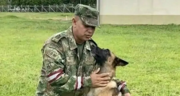 Colombia, scomparso il cane eroe che ha salvato i 4 fratellini nella giungla