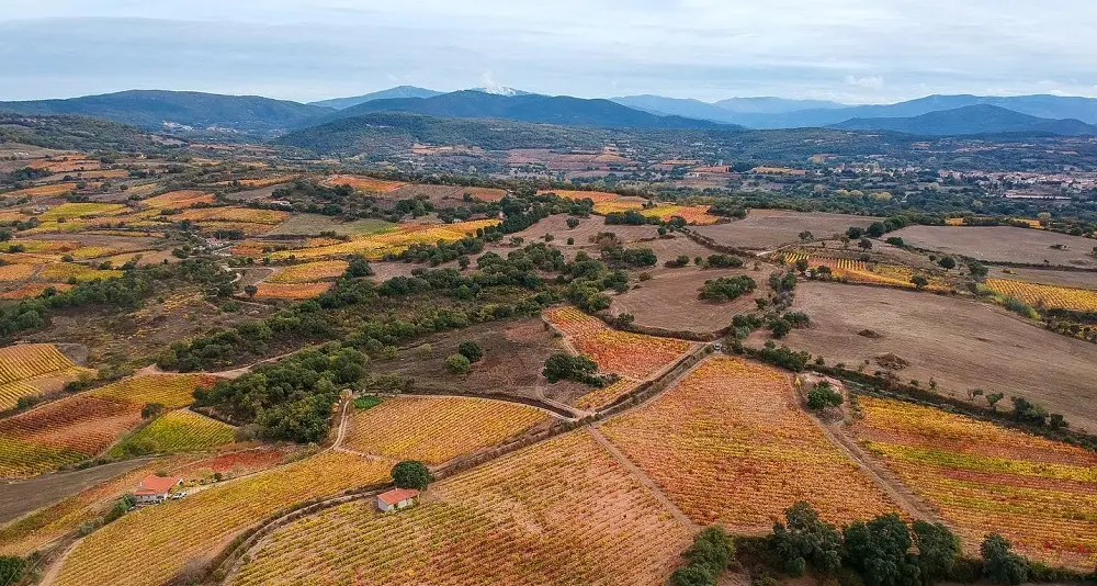 La Notte Romantica e Longevitas Mandrolisai. Estate ad Atzara all’insegna del vino