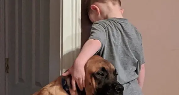Il bimbo viene messo in punizione contro il muro e il suo cane gli fa compagnia