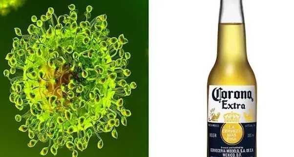 Birra Corona: perdita milionaria a causa del Codiv-19