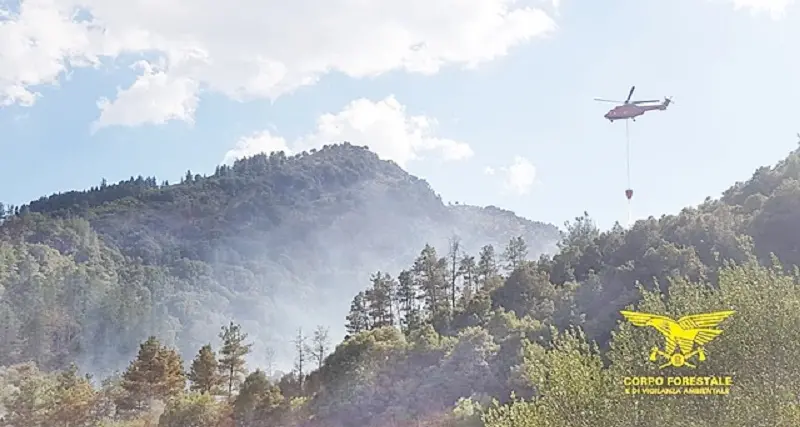 La Sardegna brucia: 22 incendi nell'Isola, intervengono i mezzi aerei