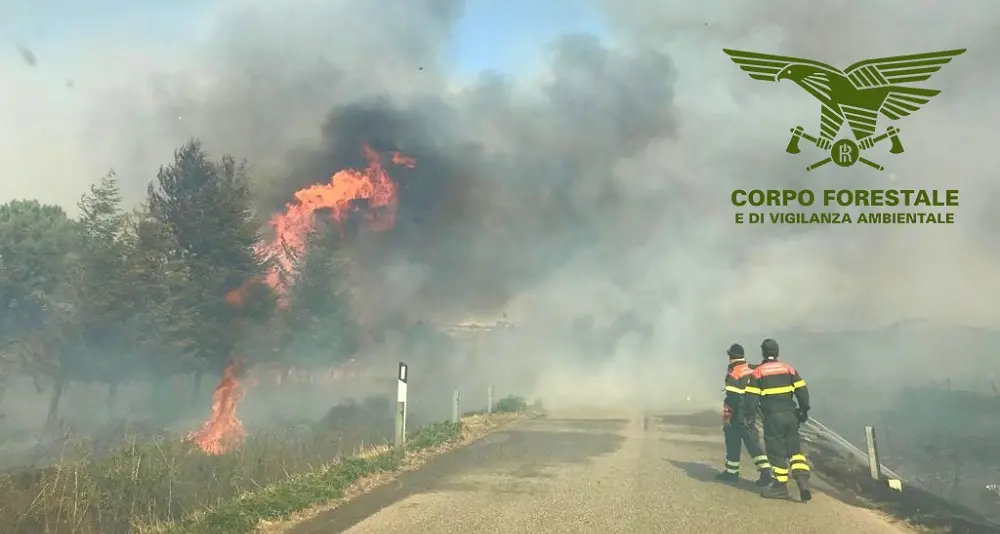 Tredici incendi oggi in Sardegna: in azione anche i velivoli del Corpo forestale