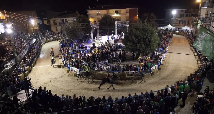 A Ollolai il 20° Palio degli asinelli: tutto pronto per un'edizione da record