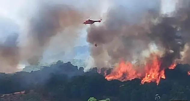 Incendi in Sardegna: pericolo “alto” confermato sino a domenica 2 luglio