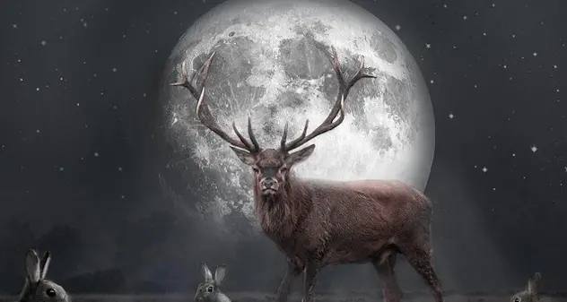 In arrivo la Luna Piena del Cervo, oggi 3 luglio 2023