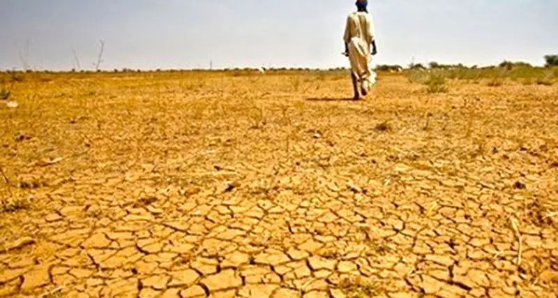 Carestie e riscaldamento globale, l’allarme degli esperti