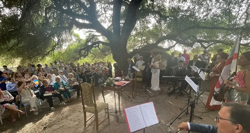 Villanova Monteleone: Silvia e Alessandro si dicono \"Sì\" all’ombra dell’ulivo pluricentenario