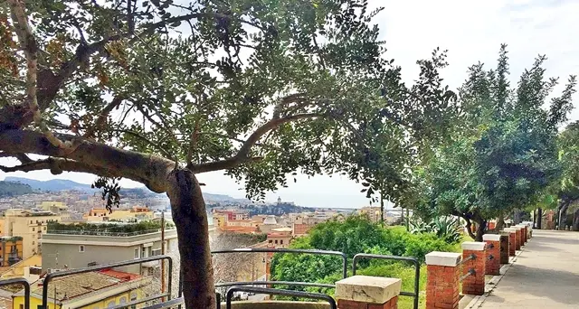 Coronavirus, dal Comune le buone notizie: pagamenti Tari e Suolo pubblico slittano a giugno 2020