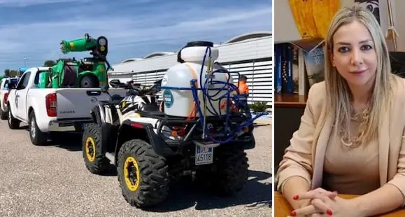 L’assessora Satta: “Stiamo vincendo la lotta contro le cavallette”