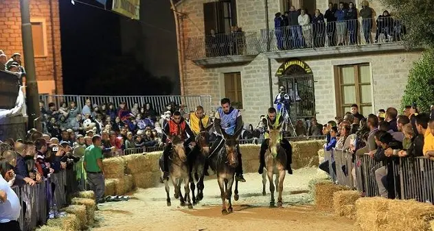 Stasera il 20° Palio di Ollolai: le batterie e gli asinelli in gara