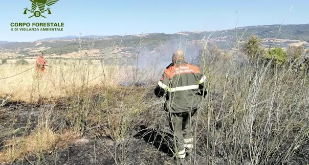 La Sardegna brucia ancora: oggi 18 incendi