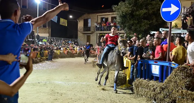 Ollolai: Augusto Vargiolu vince la 20^ edizione del Palio degli Asinelli