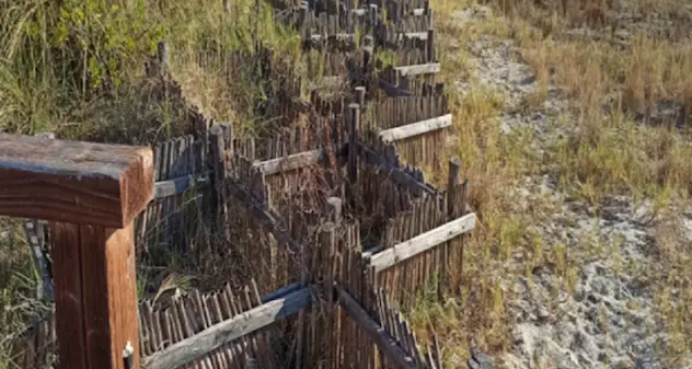 Cagliari. Scattano le multe sino a 500 euro per chi calpesta le dune del Poetto