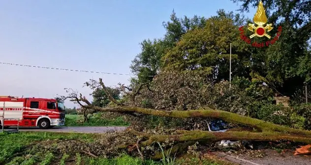 Grandine in Veneto, chicchi come palline da tennis. Zaia: \"110 feriti\"