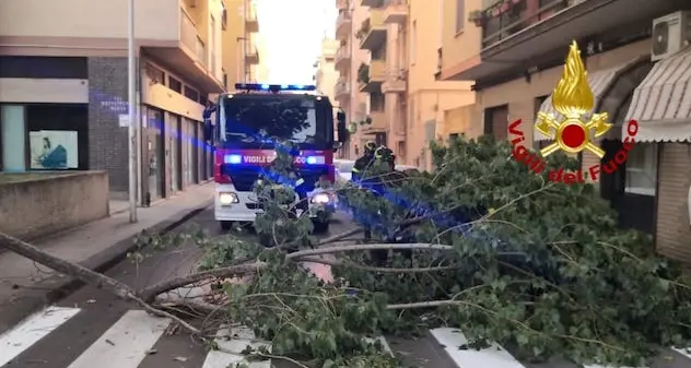 Sassari. Grosso ramo cade su un’auto parcheggiata