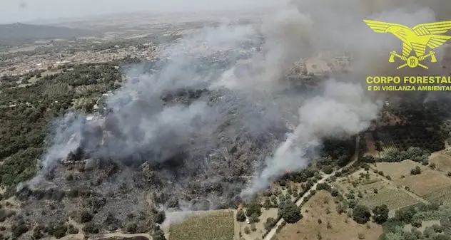 Domato l’incendio a Sant’Andrea Frius: otto ettari in fumo