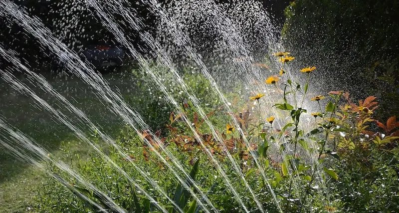 Irrigare il giardino: Come fare? Quali tipologie esistono? Scopriamolo