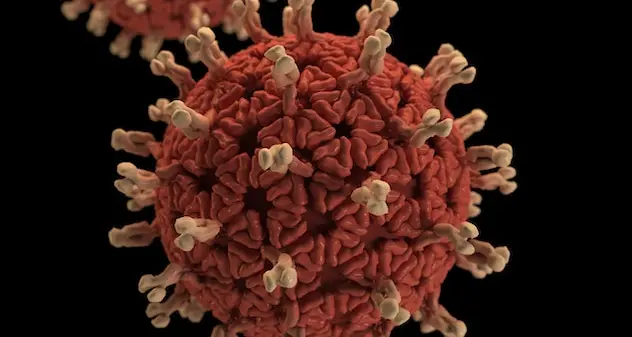Coronavirus. Salgono i contagi nell'Isola: sono 118