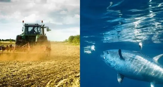Coronavirus. Psd’Az: “la Regione sostenga l'agricoltura e la pesca”