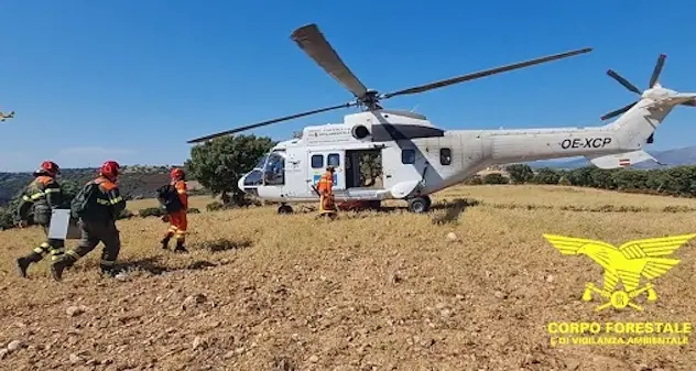 Un’altra giornata di fuoco in Sardegna: oltre venti gli incendi divampati