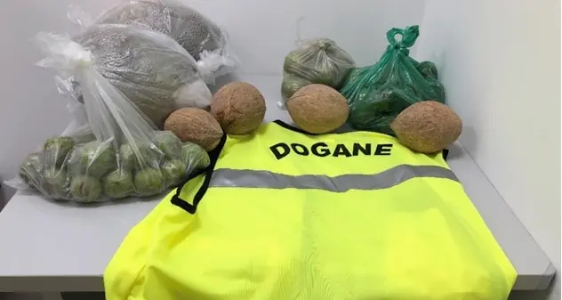 All'aeroporto di Alghero sequestrati oltre 13 chili di alimenti privi di certificazione
