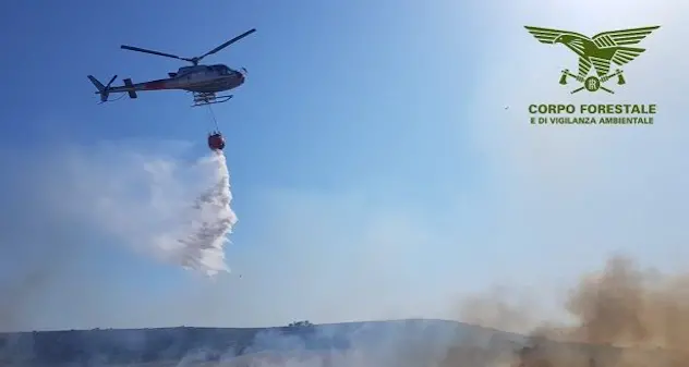 La Sardegna non smette di bruciare: oggi 20 incendi