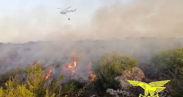 Incendi, Coldiretti: “Centinaia di ettari andati a fuoco in Sardegna”