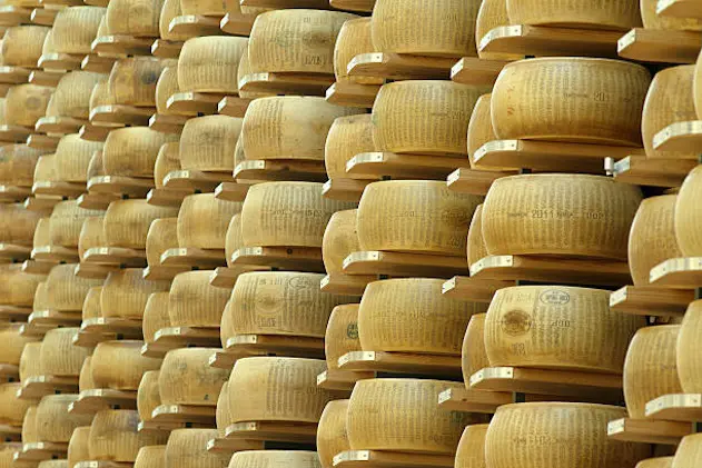 lots of wheels of parmesan cheese on shelves of a storehouse