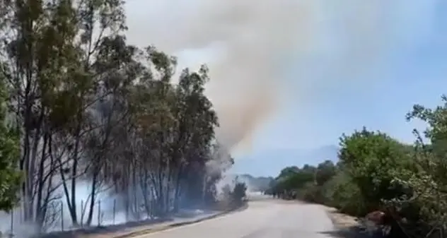 Ancora roghi vicino alle spiagge. Fuoco a Costa Rei