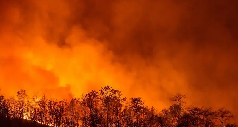 Incendi, aumentano le pene per i piromani: sei anni di carcere