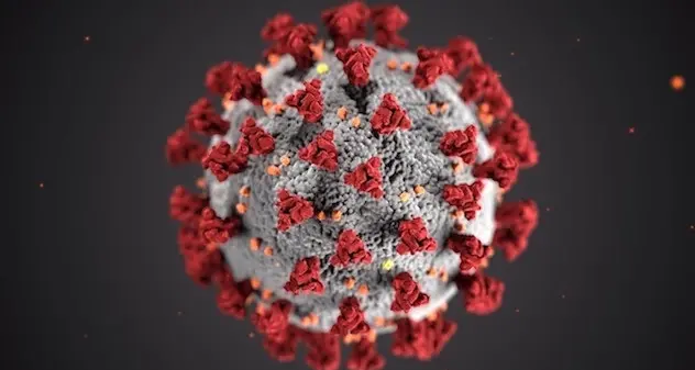 Coronavirus. Sale il numero dei positivi in Sardegna: sono 293