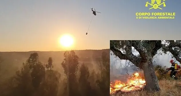 La Sardegna brucia anche oggi: 13 incendi, necessario l’intervento degli elicotteri