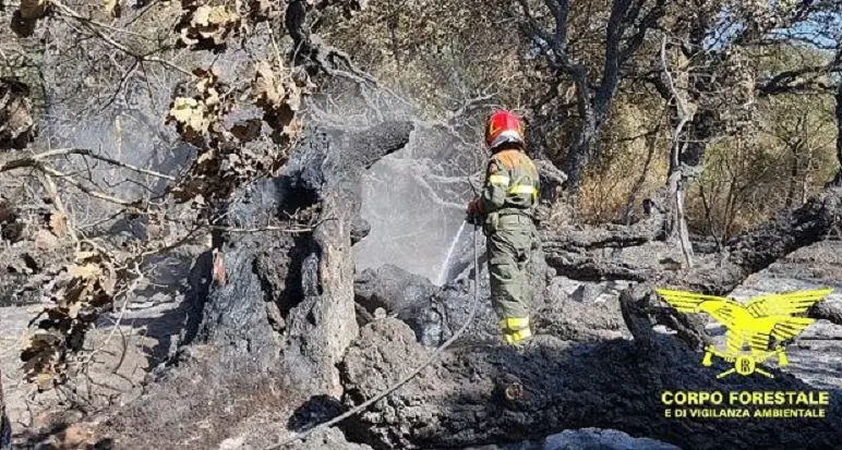 Sardegna in fiamme: oggi 12 incendi, mezzi aerei in 4 Comuni