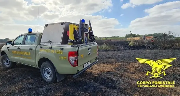 Dodici incendi oggi in Sardegna. Elicotteri a Teti e Bonorva