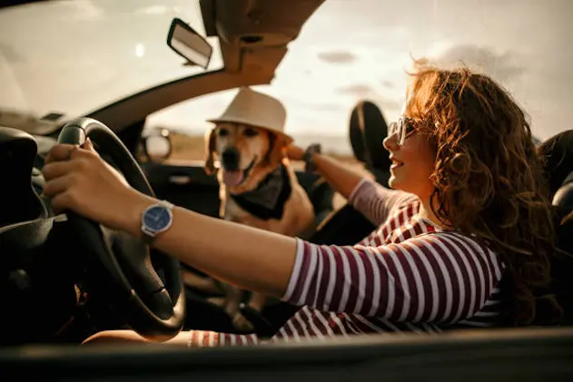 Woman driving with dog to sunset