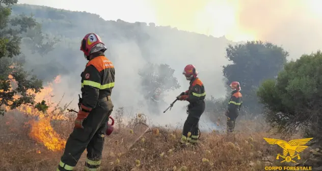 Fiamme a Oschiri e Alghero: elicotteri in azione