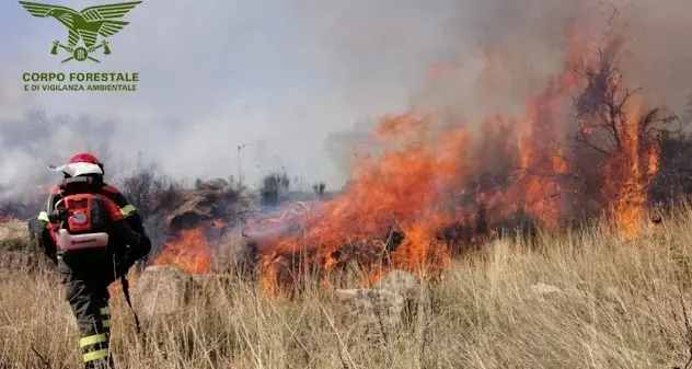 Fiamme a Galtellì e Padria: la Sardegna continua a bruciare
