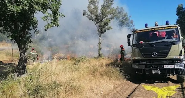 In corso un incendio a Bonorva: intervento del Corpo Forestale con supporto di un elicottero