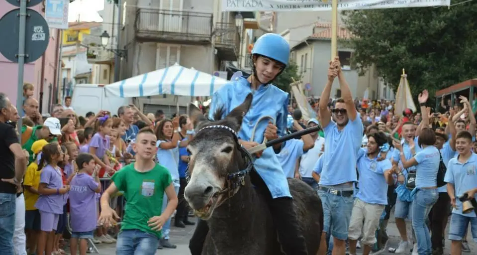 A Pattada torna la magia del Palio degli Asinelli: il 19 agosto la 13^ edizione