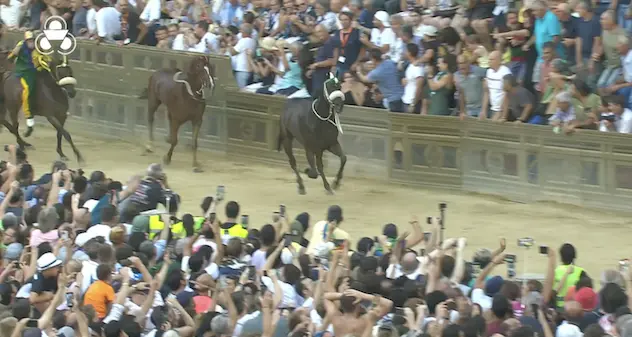 Palio di Siena dell’Assunta: vince il cavallo scosso dell’Oca