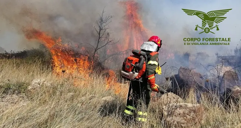 Fiamme a Buddusò, sul posto inviato un elicottero