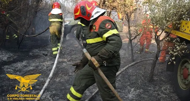 Oggi 17 incendi in Sardegna, in cinque casi elicotteri in azione