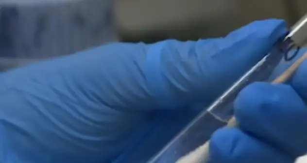 Coronavirus. I sindacati uniti per chiedere un’unità di pronto intervento per segnalare rischi