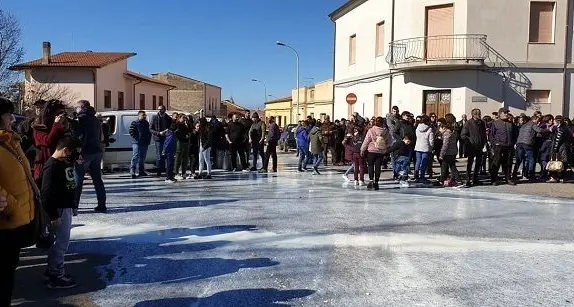 Coronavirus. La proposta di Antonio Nurra: “Donare uno o più agnelli per ogni attività chiusa”